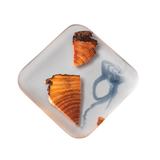 Pine Wood Resin Drink Coasters 6 Pcs - Brown - 3 / Square 6 Pcs Set - Small - Pine Resin - image 17