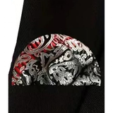 Funki Buys | Neckties | Men's 3 Pcs Black Silver Paisley Tie Set