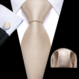 Funki Buys | Neckties | Men's 3 Pcs Beige Geometric Formal Tie Set