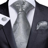 Funki Buys | Neckties | Men's 3 Pcs Silver Grey Formal Tie Set