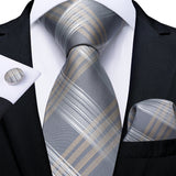 Funki Buys | Neckties | Men's 3 Pcs Silver Grey Formal Tie Set