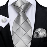 Funki Buys | Neckties | Men's 3 Pcs Silver Grey Formal Tie Set