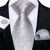 Funki Buys | Neckties | Men's 3 Pcs Silver Grey Formal Tie Set