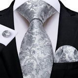Funki Buys | Neckties | Men's 3 Pcs Silver Grey Formal Tie Set