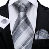 Funki Buys | Neckties | Men's 3 Pcs Silver Grey Formal Tie Set