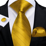 Men's 3 Pcs Luxury Gold Paisley Tie Sets - Gold - LDSN7757 - One Size - Silk - image 13