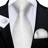 Funki Buys | Neckties | Men's 3 Pcs Silver Grey Formal Tie Set