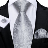 Funki Buys | Neckties | Men's 3 Pcs Silver Grey Formal Tie Set