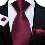Funki Buys | Neckties | Men's 3 Pcs Burgundy Red Luxury Tie Sets