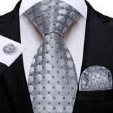 Funki Buys | Neckties | Men's 3 Pcs Silver Grey Formal Tie Set