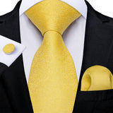Men's 3 Pcs Luxury Gold Paisley Tie Sets - Gold - LDSN7946 - One Size - Silk - image 11