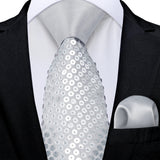 Funki Buys | Neckties | Men's 3 Pcs Silver Grey Formal Tie Set