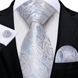 Funki Buys | Neckties | Men's 3 Pcs Silver Grey Formal Tie Set