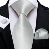 Funki Buys | Neckties | Men's 3 Pcs Silver Grey Formal Tie Set