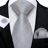Funki Buys | Neckties | Men's 3 Pcs Silver Grey Formal Tie Set
