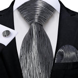Funki Buys | Neckties | Men's 3 Pcs Silver Grey Formal Tie Set