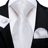 Funki Buys | Neckties | Men's 3 Pcs Silver Grey Formal Tie Set