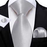Funki Buys | Neckties | Men's 3 Pcs Silver Grey Formal Tie Set