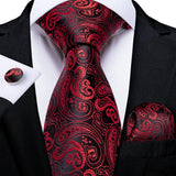 Funki Buys | Neckties | Men's 3 Pcs Shades of Red Formal Tie Sets