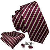 Funki Buys | Neckties | Men's 3 Pcs Burgundy Beige Striped Tie Set