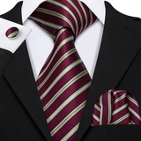 Funki Buys | Neckties | Men's 3 Pcs Burgundy Beige Striped Tie Set
