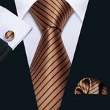 Funki Buys | Neckties | Men's 3 Pcs Bronze Striped Formal Tie Set