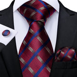 Funki Buys | Neckties | Men's 3 Pcs Shades of Red Formal Tie Sets