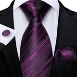 Funki Buys | Neckties | Men's 3 Pcs Dark Purple Formal Tie Set