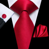 Funki Buys | Neckties | Men's 3 Pcs Shades of Burgundy Tie Sets