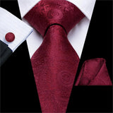 Funki Buys | Neckties | Men's 3 Pcs Shades of Burgundy Tie Sets