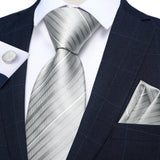 Funki Buys | Neckties | Men's 3 Pcs Formal White Silver Tie Sets