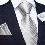 Funki Buys | Neckties | Men's 3 Pcs Formal White Silver Tie Sets