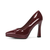 Funki Buys | Shoes | Women's Elegant Patent High Heel Pumps