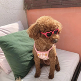 Cute Heart Shaped Pet Sunnies - Multicolored - Any 4 Colors - Small - Plastic - image 3