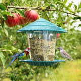 Squirrel Proof Hanging Bird Feeder - Brown - Hanging Bird Feeder - M - Plastic - image 4