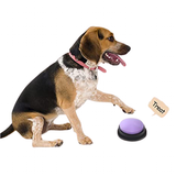 Recordable Button Learning Aid for Kids, Pets - Blue - Recordable Button - 3.5 x 1.7" - ABS Plastic - image 1