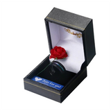 Men's Women's Titanium Rainbow Rings - Black - 9mm Black Rainbow Ring - 13 - Tungsten Carbide - image 12