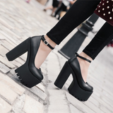 Funki Buys | Shoes | Women's Sexy High Chunky Heel Platforms