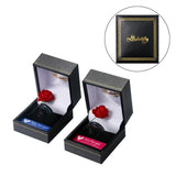 Men's Women's Titanium Rainbow Rings - Black - 9mm Black Rainbow Ring - 13 - Tungsten Carbide - image 6