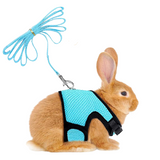 Small Pet Leash Vests Rabbit Cat - Grey - Pet Harness Leash - L - Nylon - image 1
